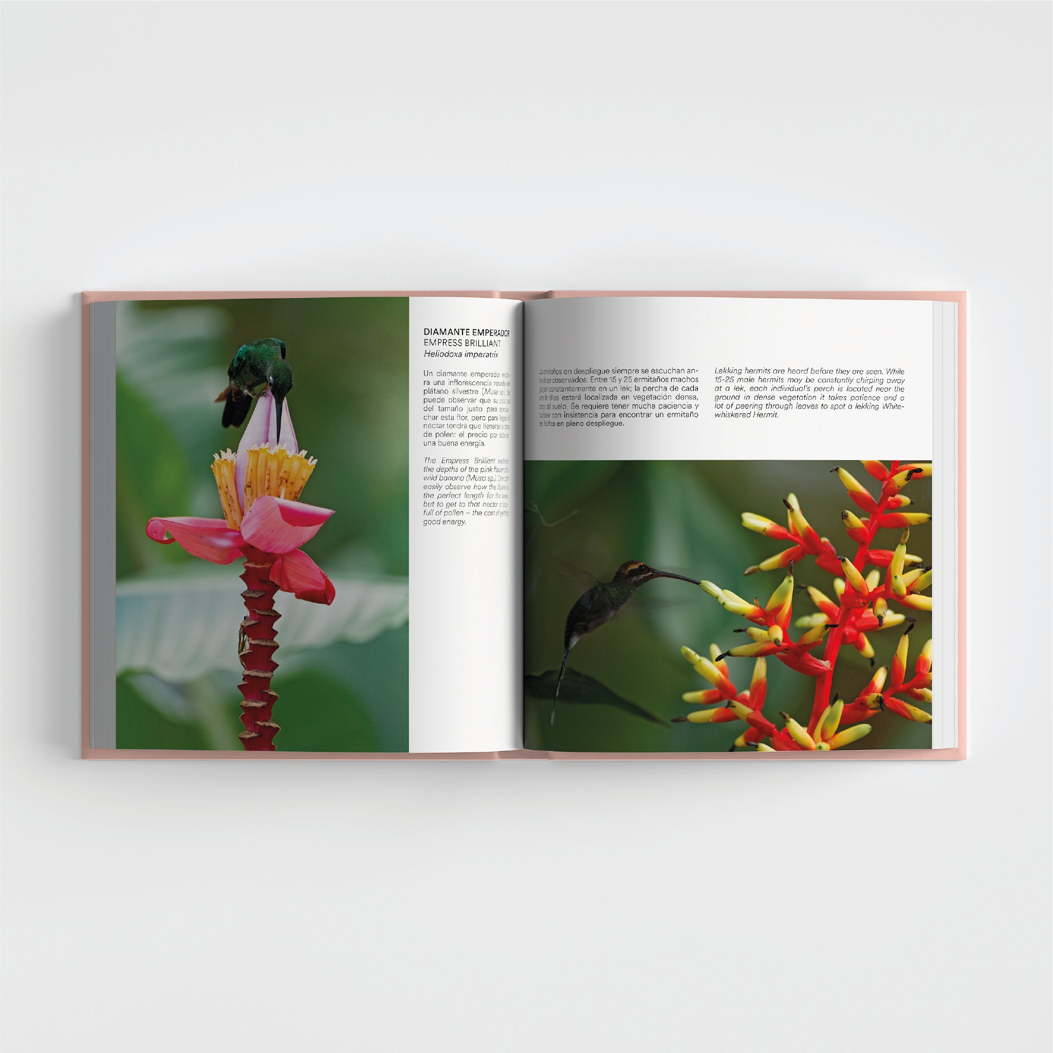 Aves en Colombia Tomo 1 / Birds in Colombia Vol. 1