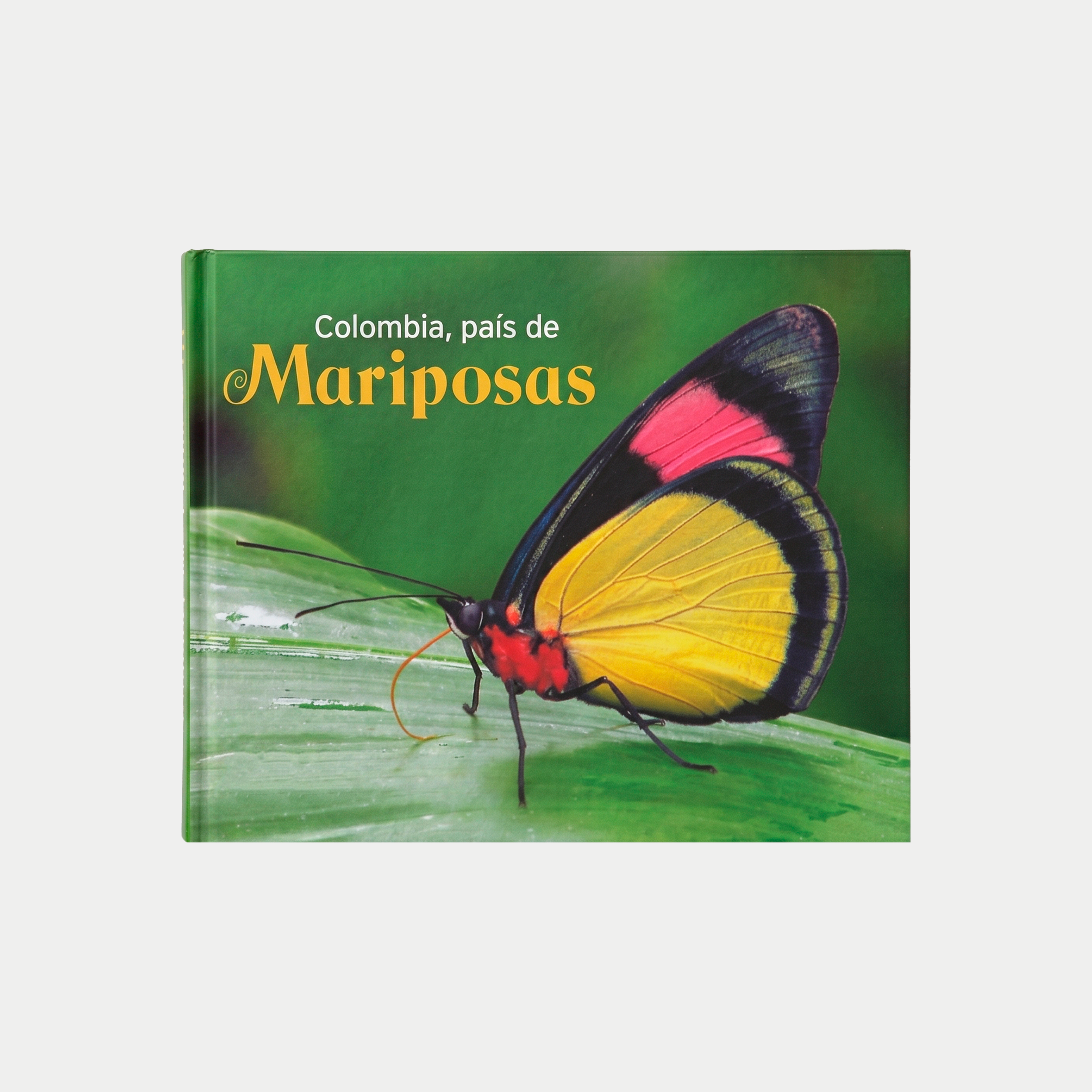 Colombia, País de Mariposas