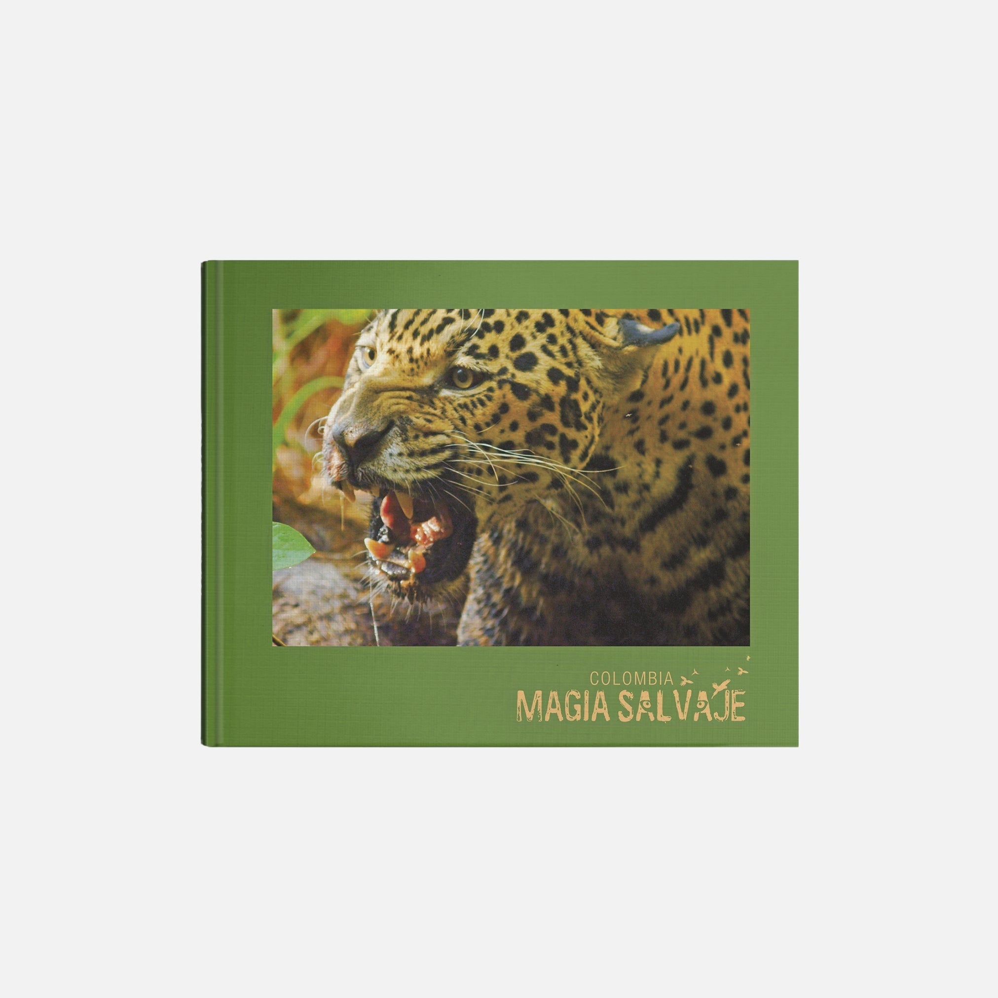 Colombia Wild Magic