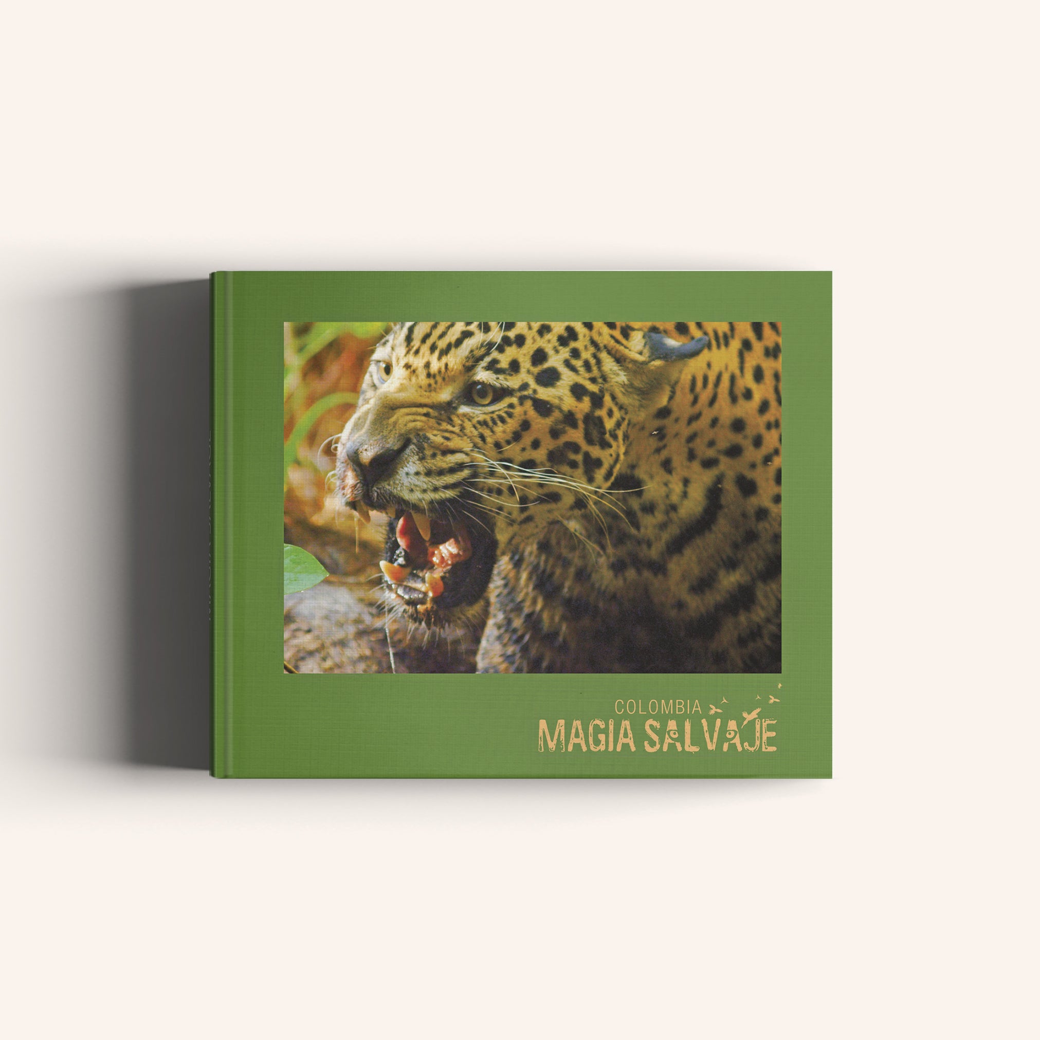 Colombia magia salvaje