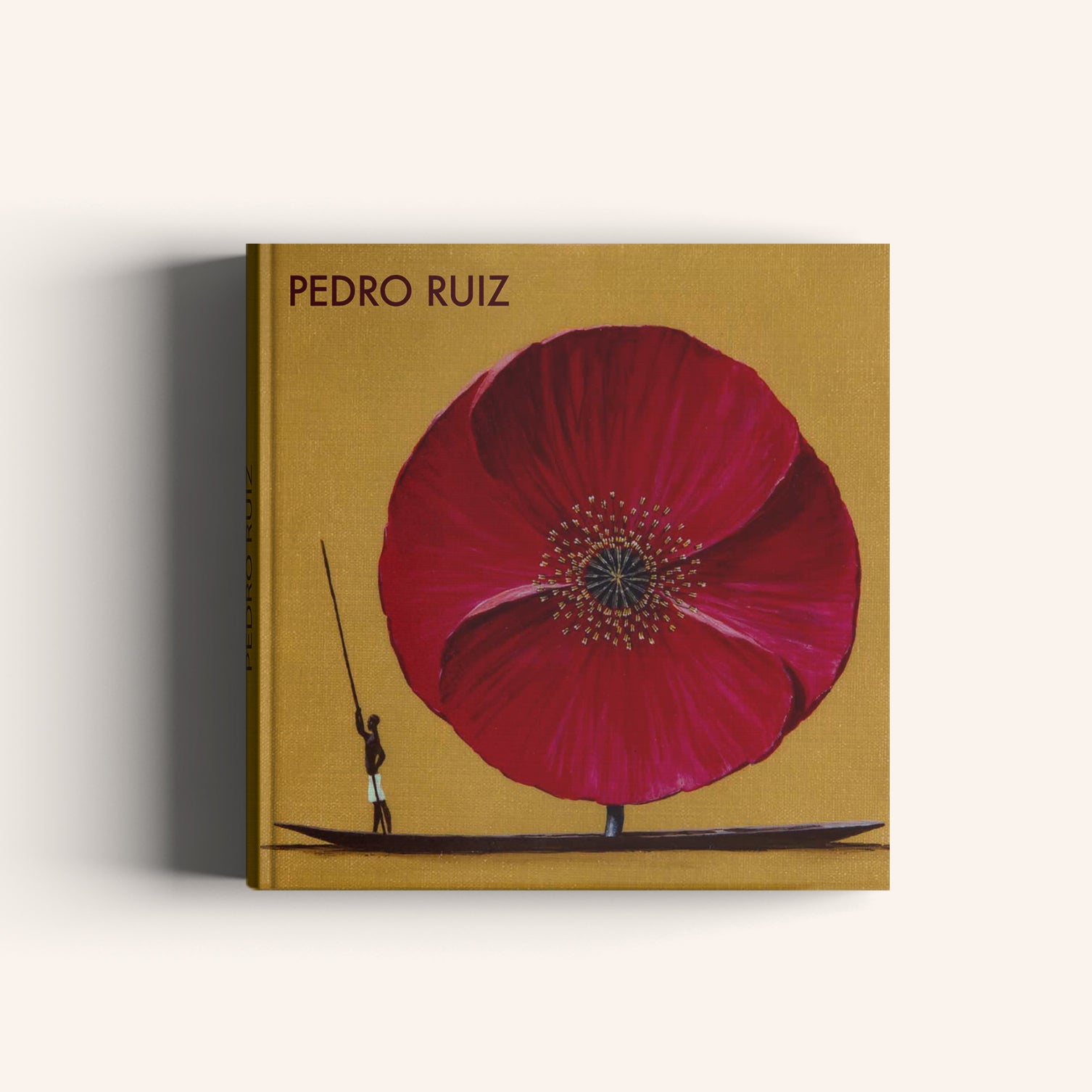 Pedro Ruiz - Villegas editores - Libros Colombia