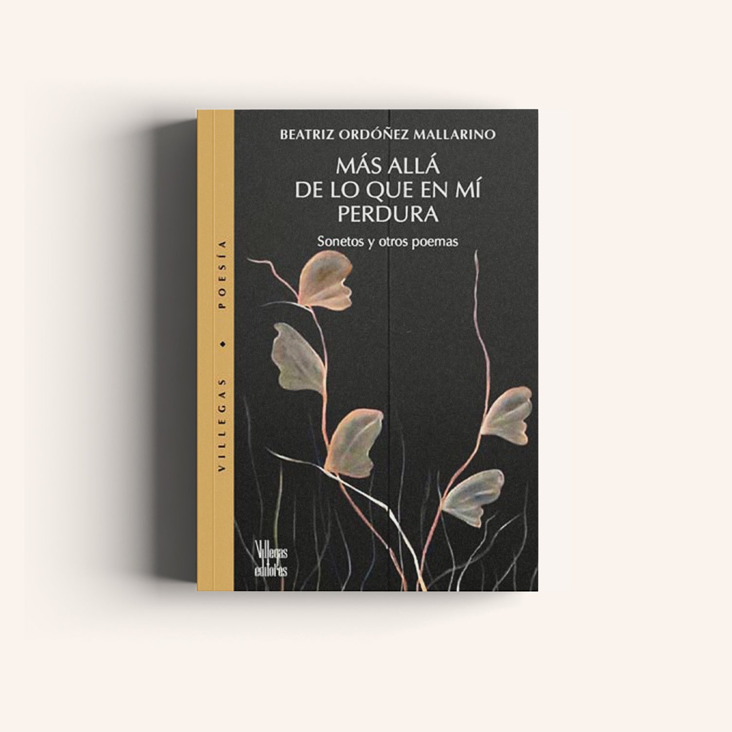 Más Allá de lo que en Mí Perdura- Sonetos y Otros Poemas - Villegas editores - Libros Colombia