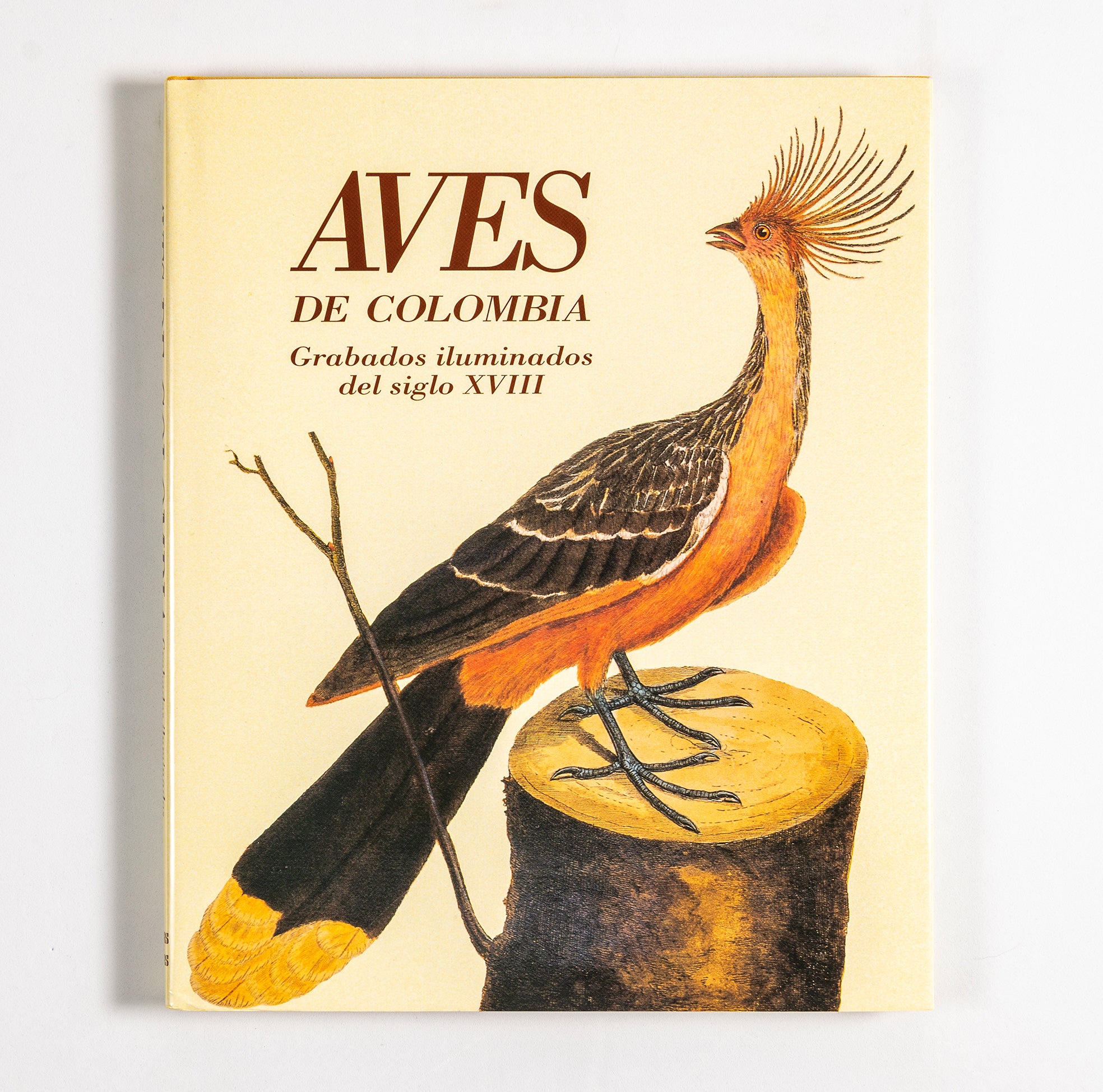 Aves de Colombia