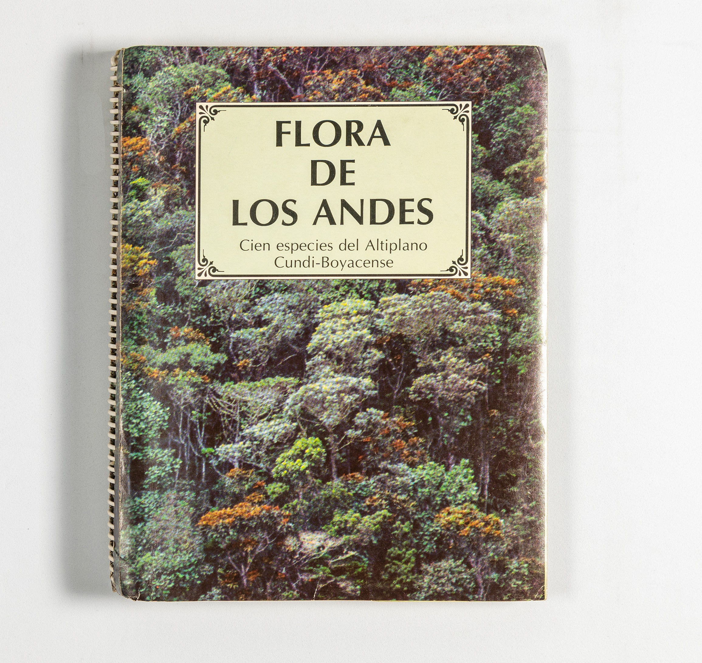 Flora de los Andes