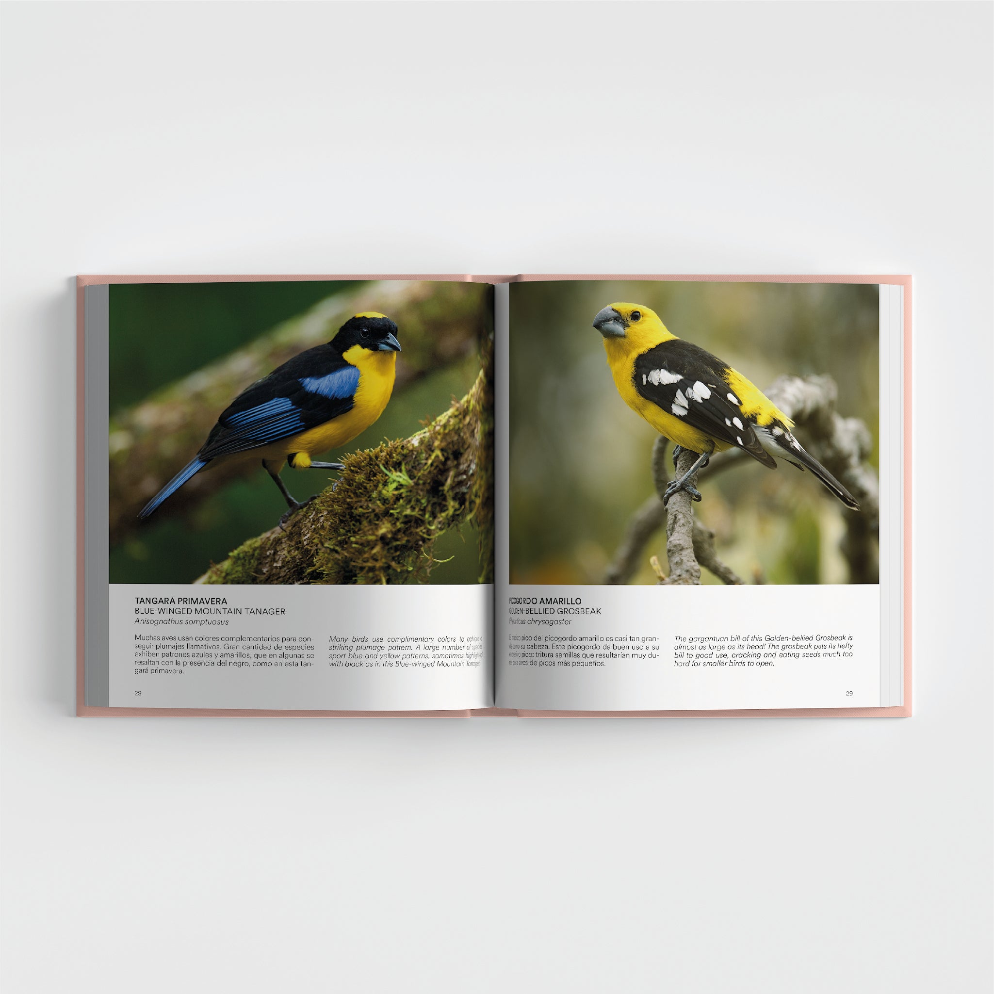 Aves en Colombia Tomo 1 / Birds in Colombia Vol. 1