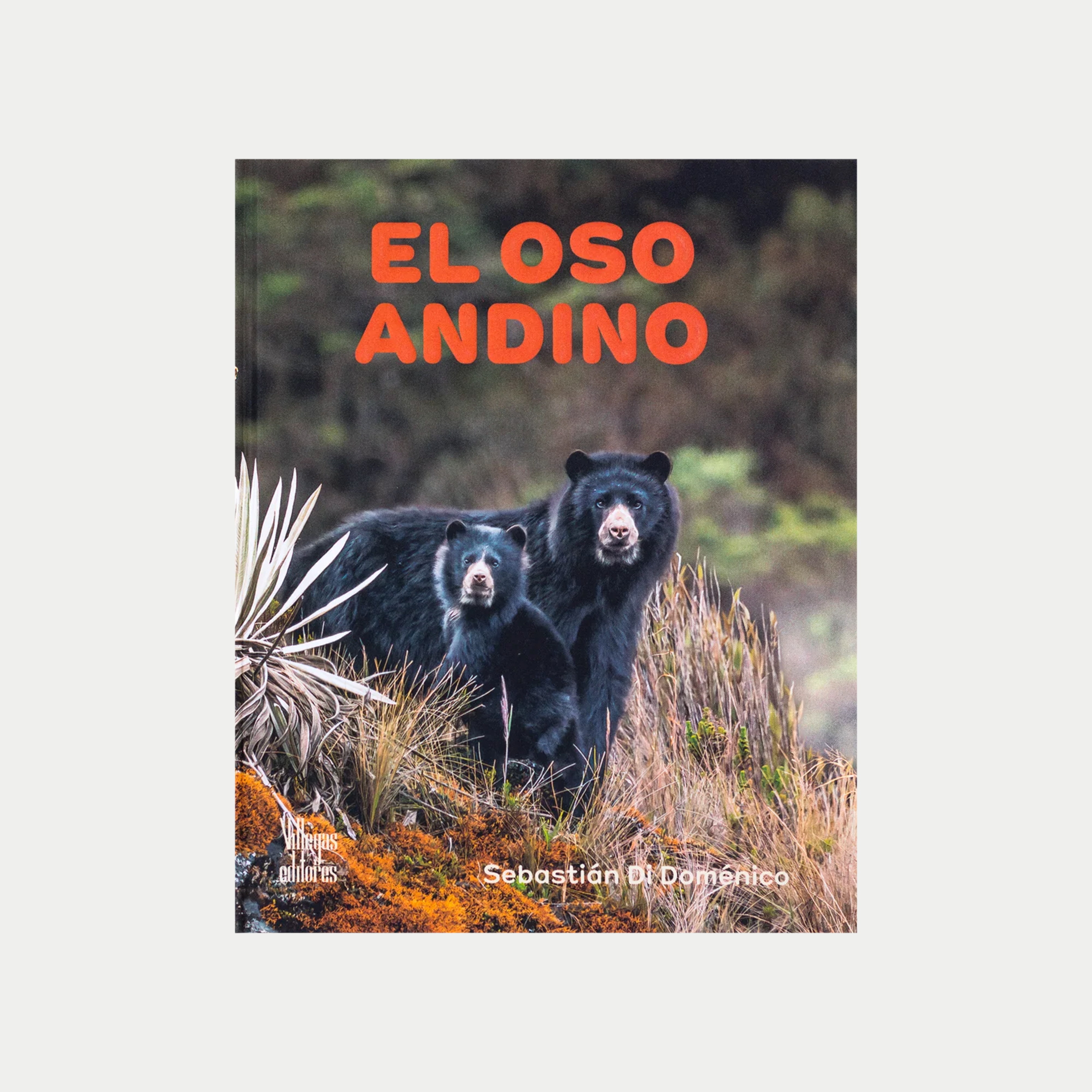 El Oso Andino