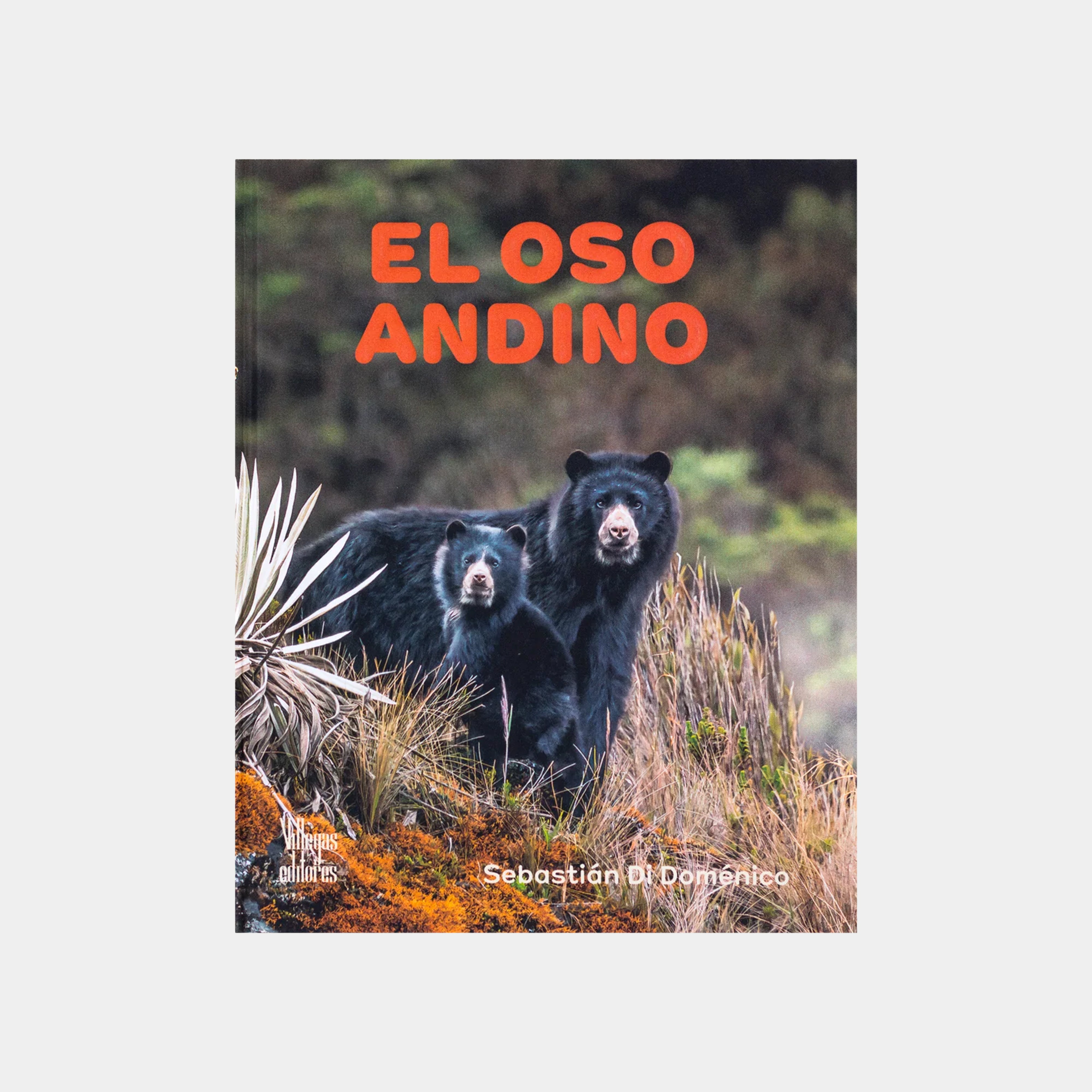 El Oso Andino