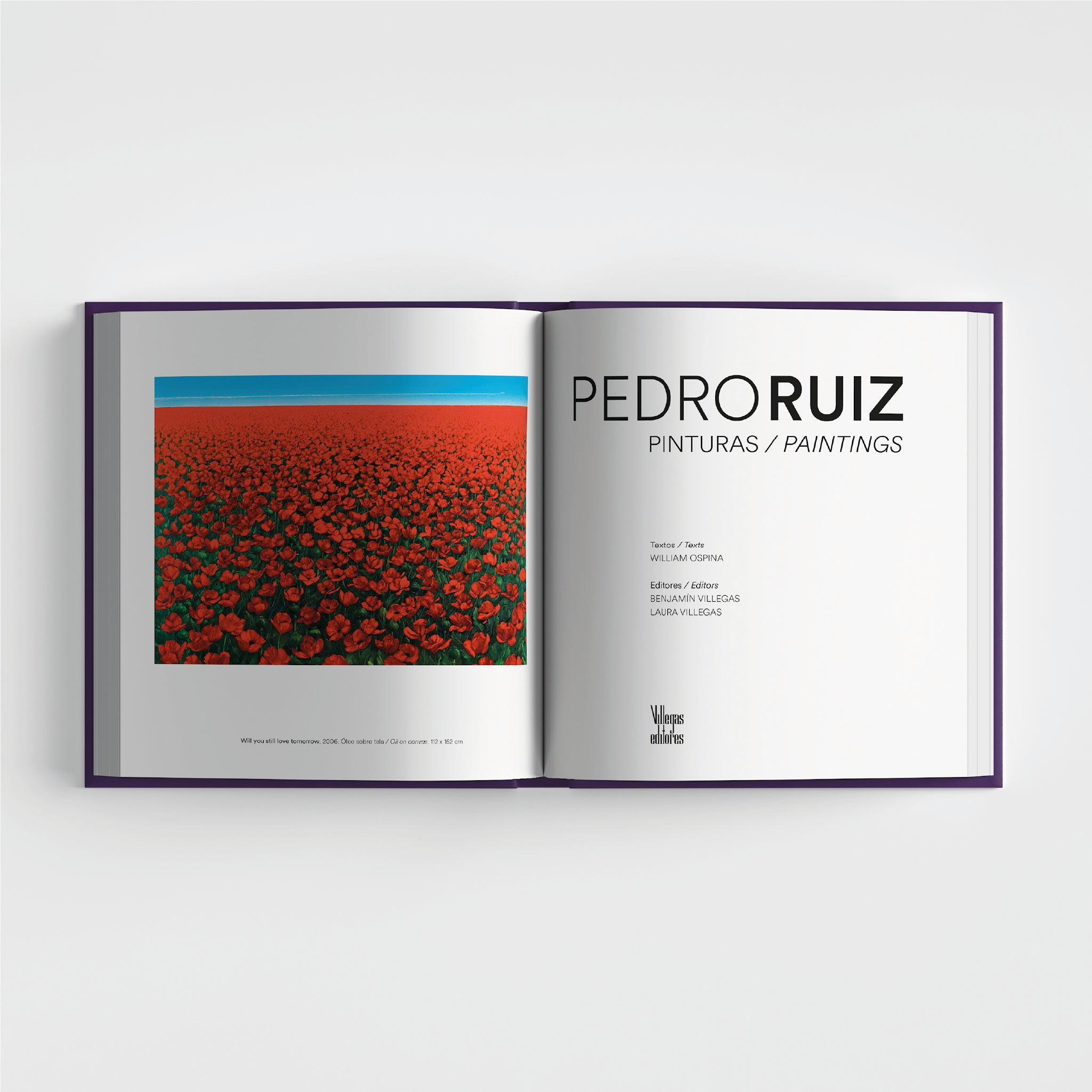 Pedro Ruiz Pinturas / Paintings