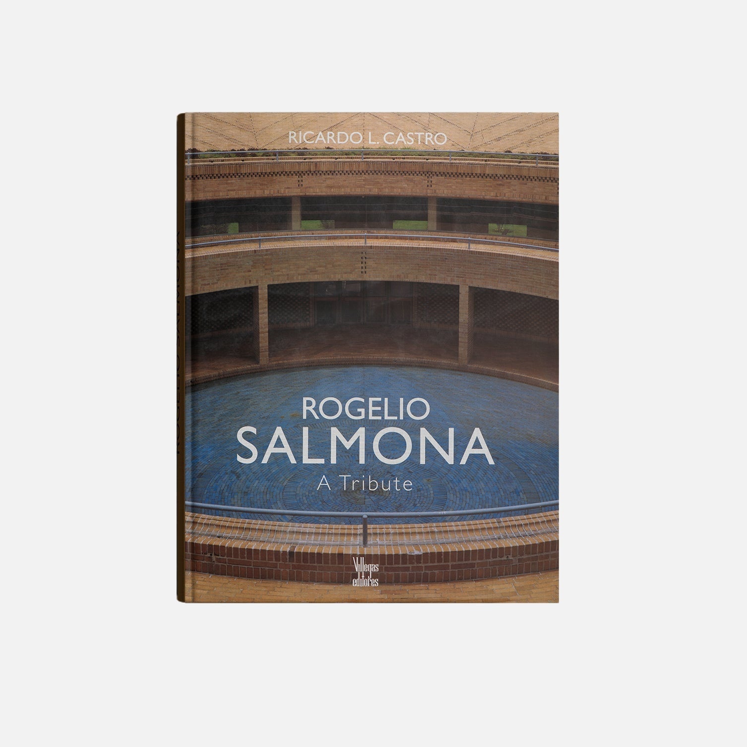 Rogelio Salmona Tribute