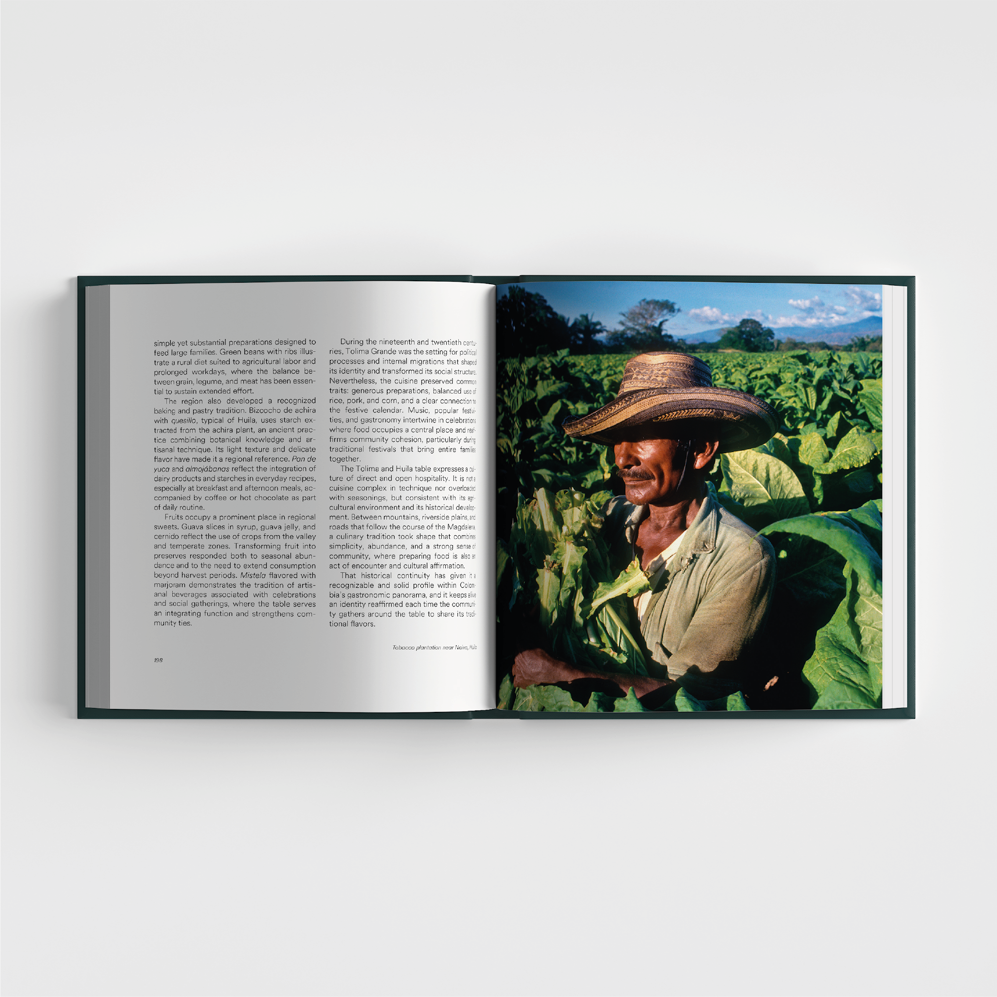 The Taste of Colombia