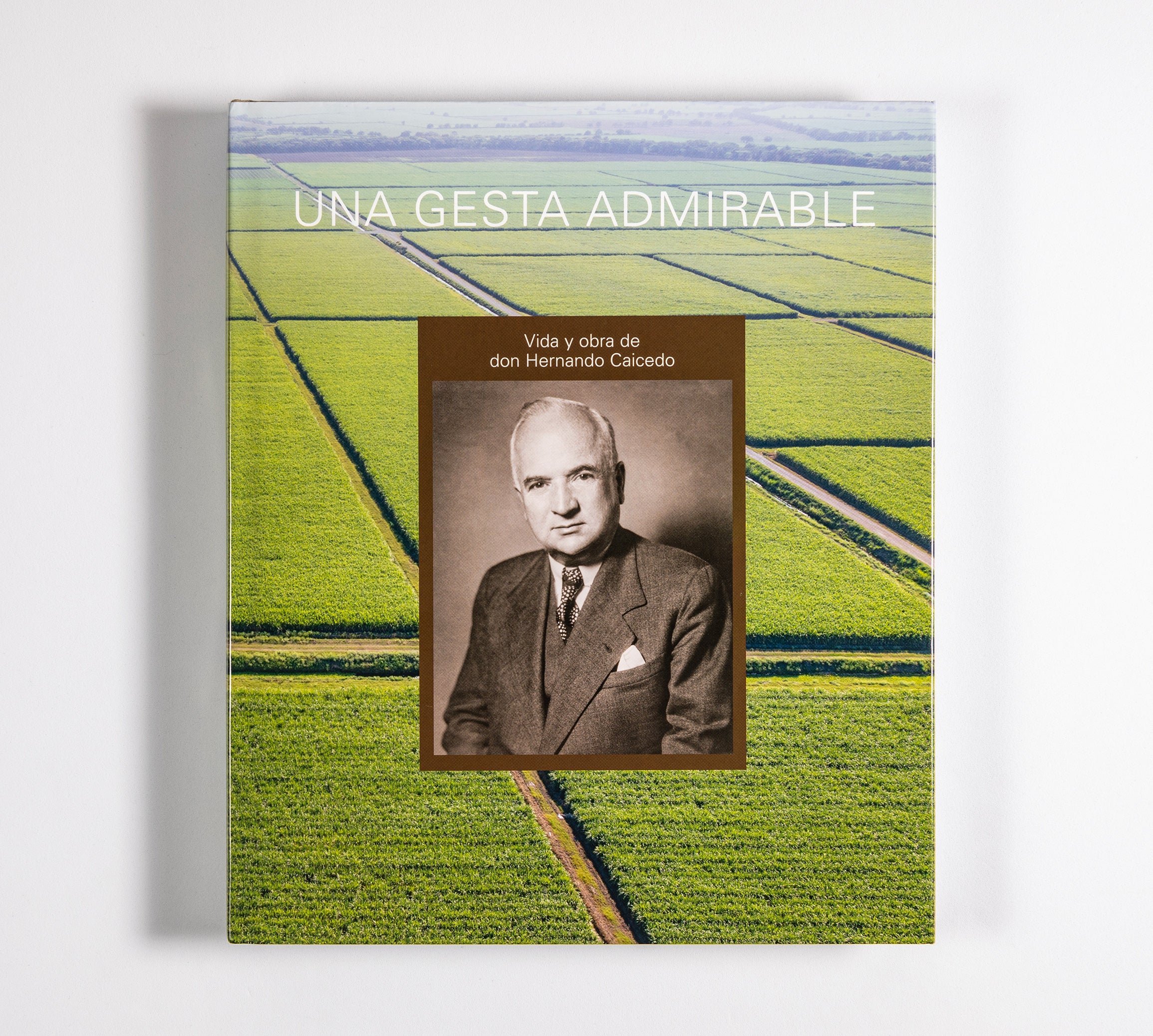 Una Gesta Admirable, Vida y Obra de Don Hernando Caicedo - Riopaila