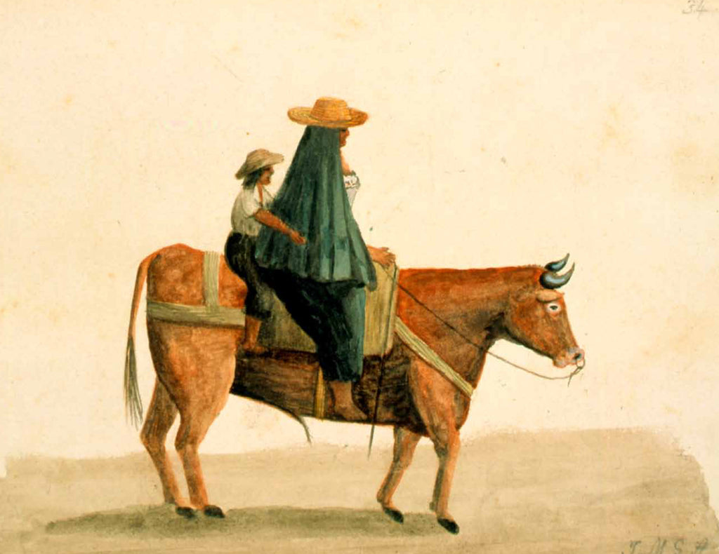 JOSÉ MARÍA GUTIÉRREZ DE ALBA, Diario ilustrado de viajes por Colombia 1871 - 1873 - Villegas editores - Libros Colombia