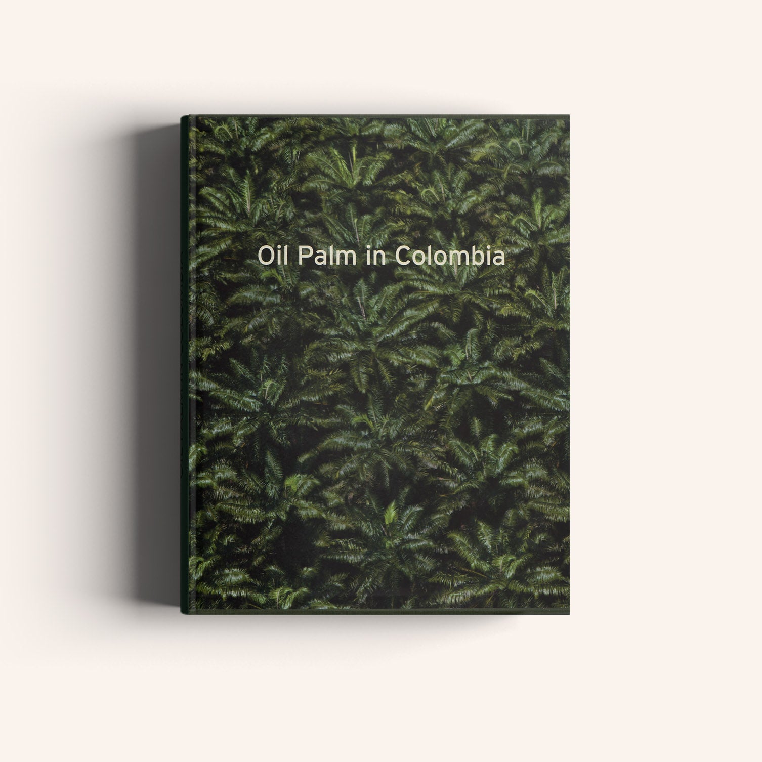 Oil Palm in Colombia