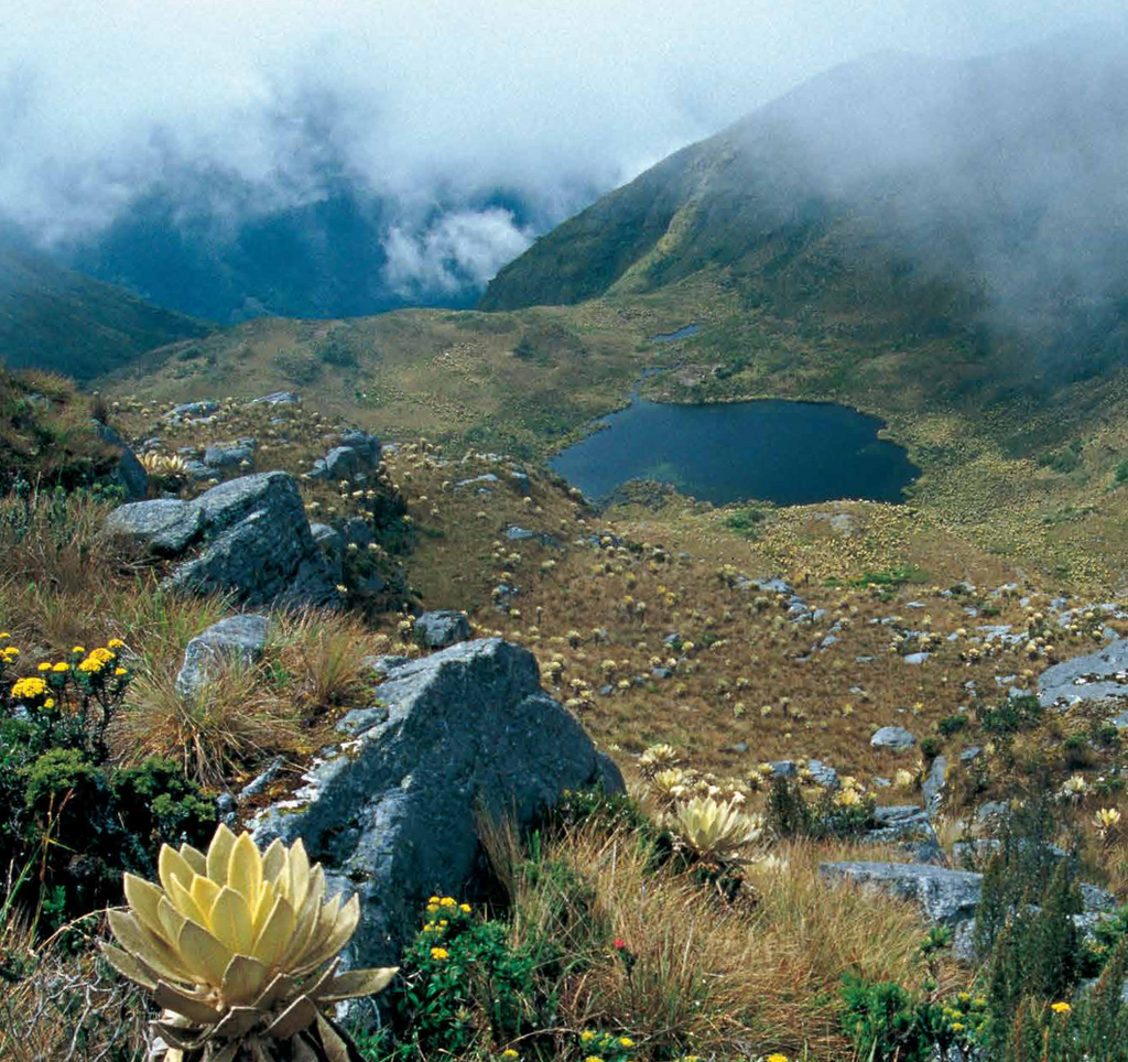 Parques Naturales de Colombia - Villegas editores - Libros Colombia